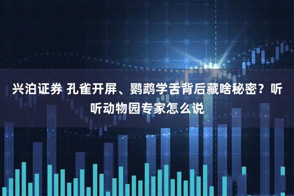 兴泊证券 孔雀开屏、鹦鹉学舌背后藏啥秘密？听听动物园专家怎么说