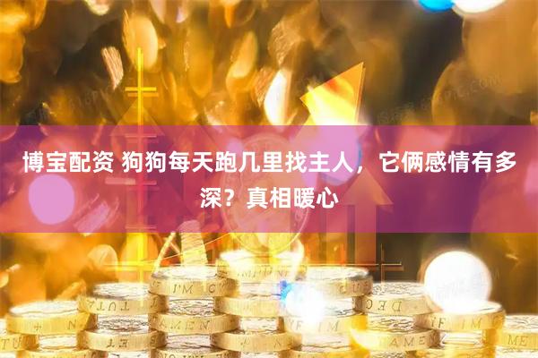 博宝配资 狗狗每天跑几里找主人，它俩感情有多深？真相暖心