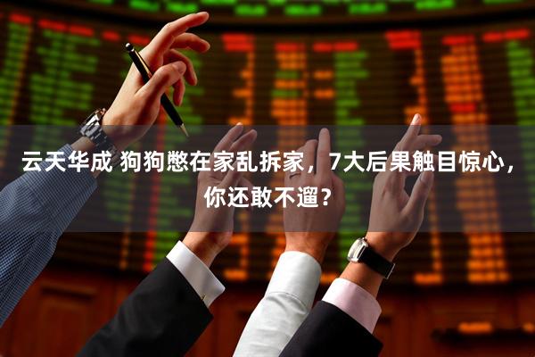 云天华成 狗狗憋在家乱拆家，7大后果触目惊心，你还敢不遛？