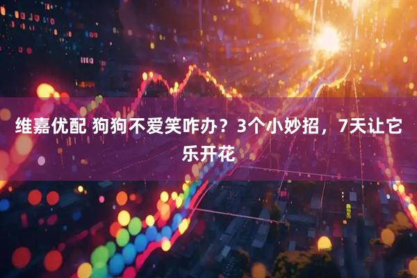 维嘉优配 狗狗不爱笑咋办？3个小妙招，7天让它乐开花