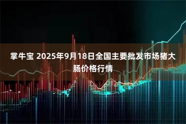 掌牛宝 2025年9月18日全国主要批发市场猪大肠价格行情