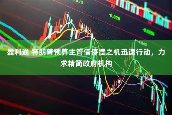 盈利通 特朗普预算主管借停摆之机迅速行动，力求精简政府机构